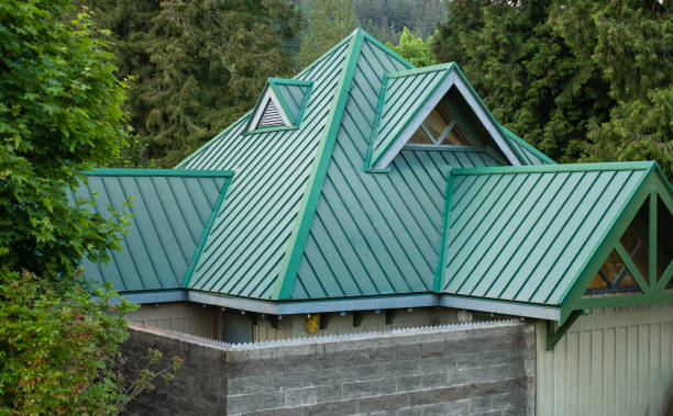 Best Solar Panel Roofing Installation  in Lake Placid, FL